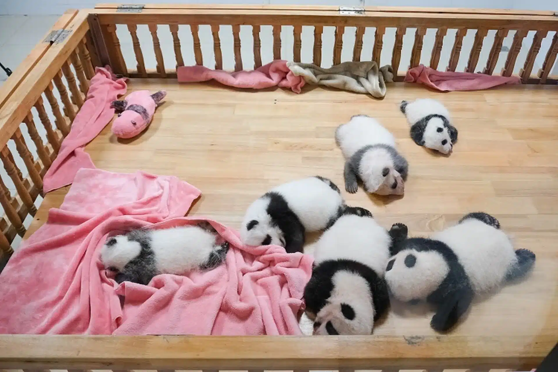 Сувенирный магазин