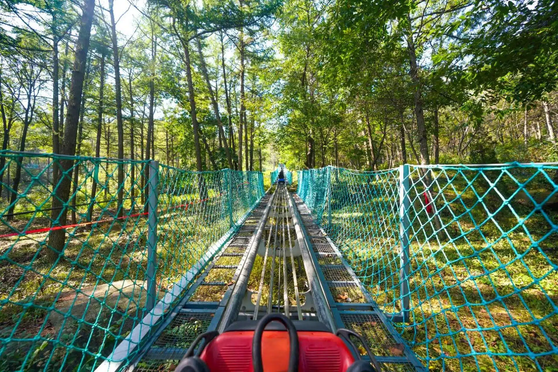 Лесная горка