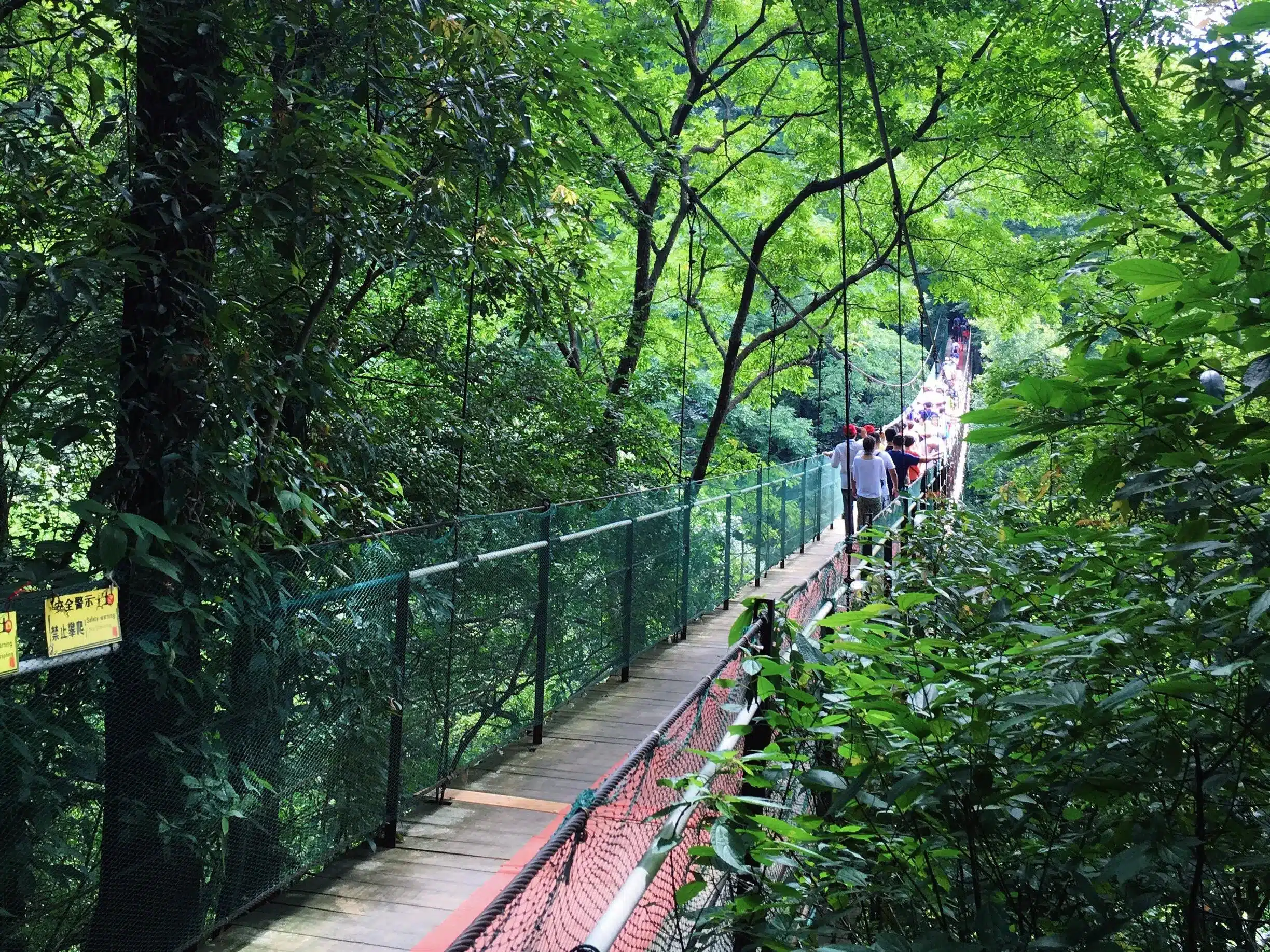 Висячий мост