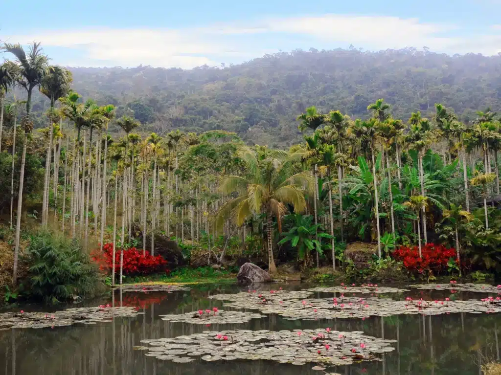 Советы туристам