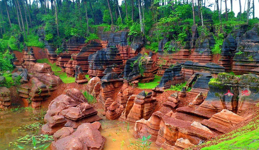 Геопарк «Лес красных камней»