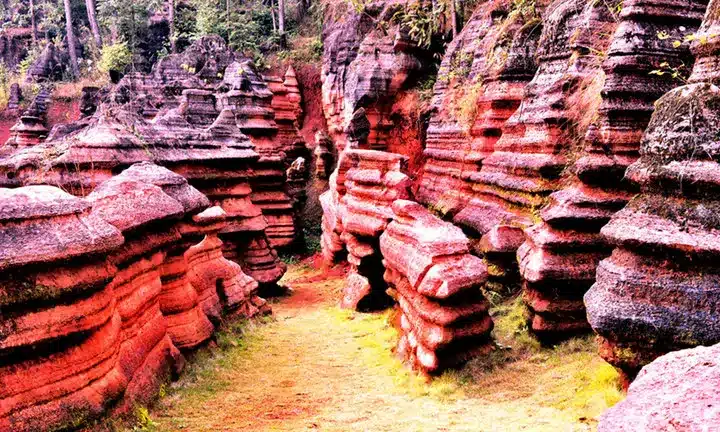 Лес красных камней