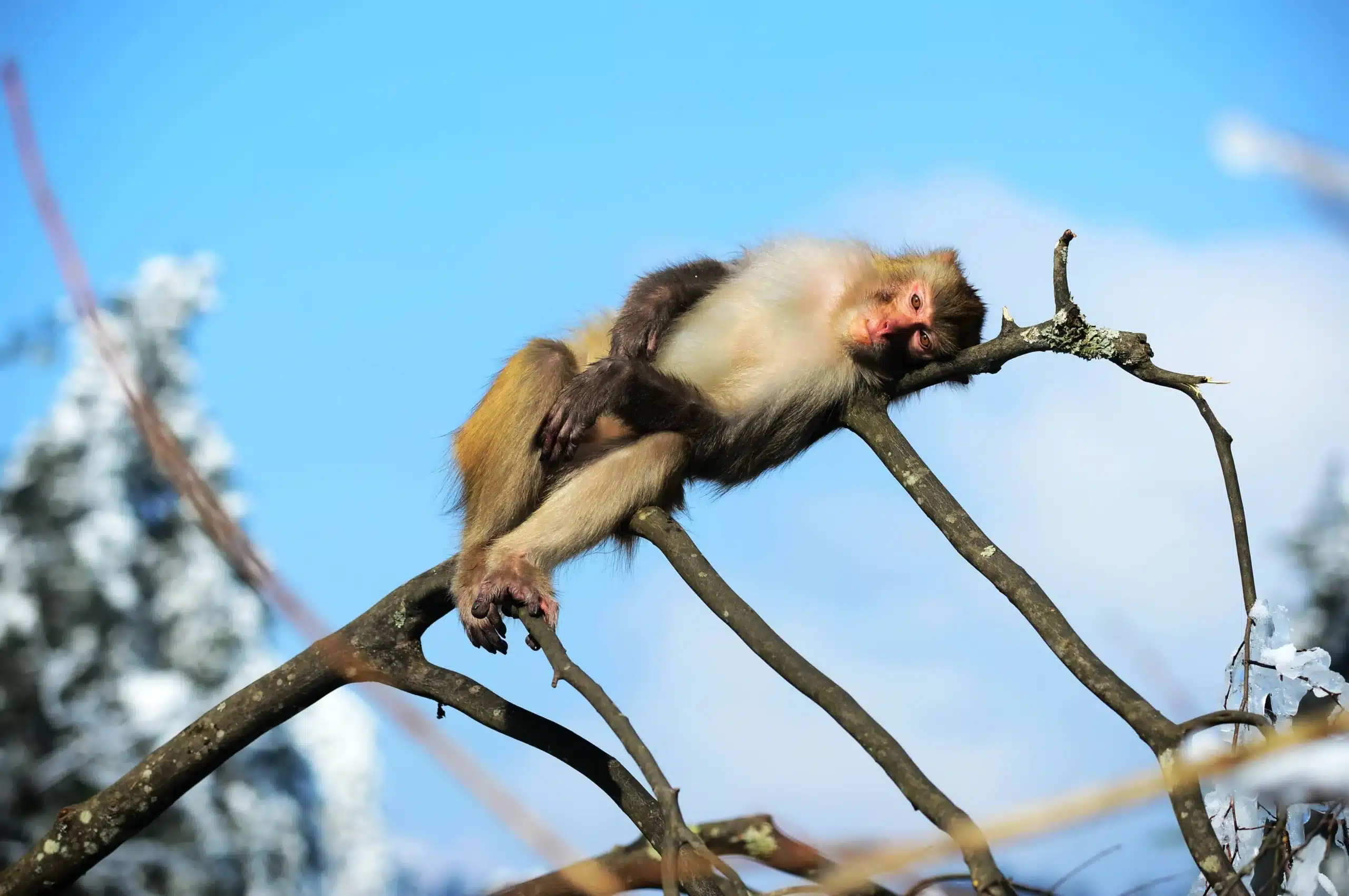 Деревня Хуаншичжай