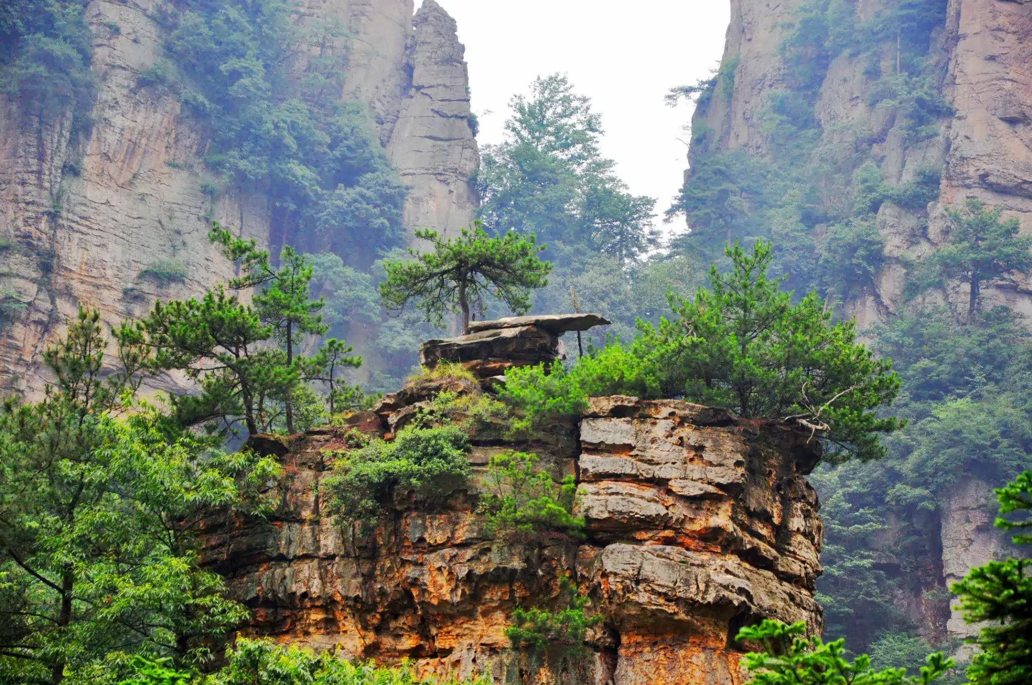 Сокровищница Небесной книги