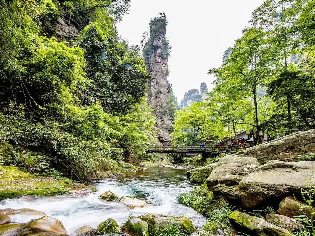 Каньону Золотой Кнут