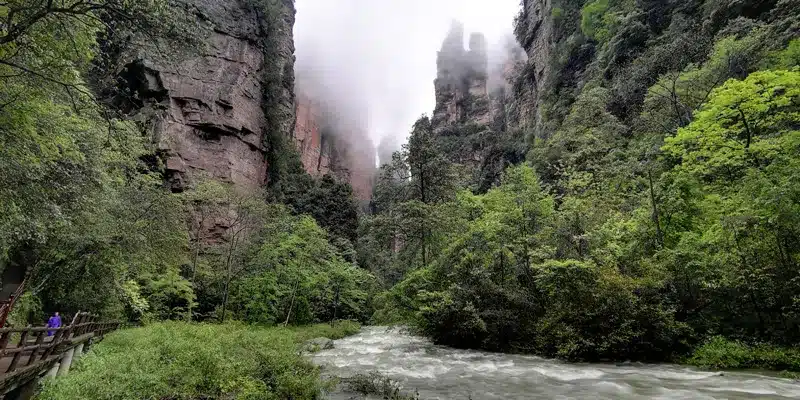 Ручей Золотой кнут