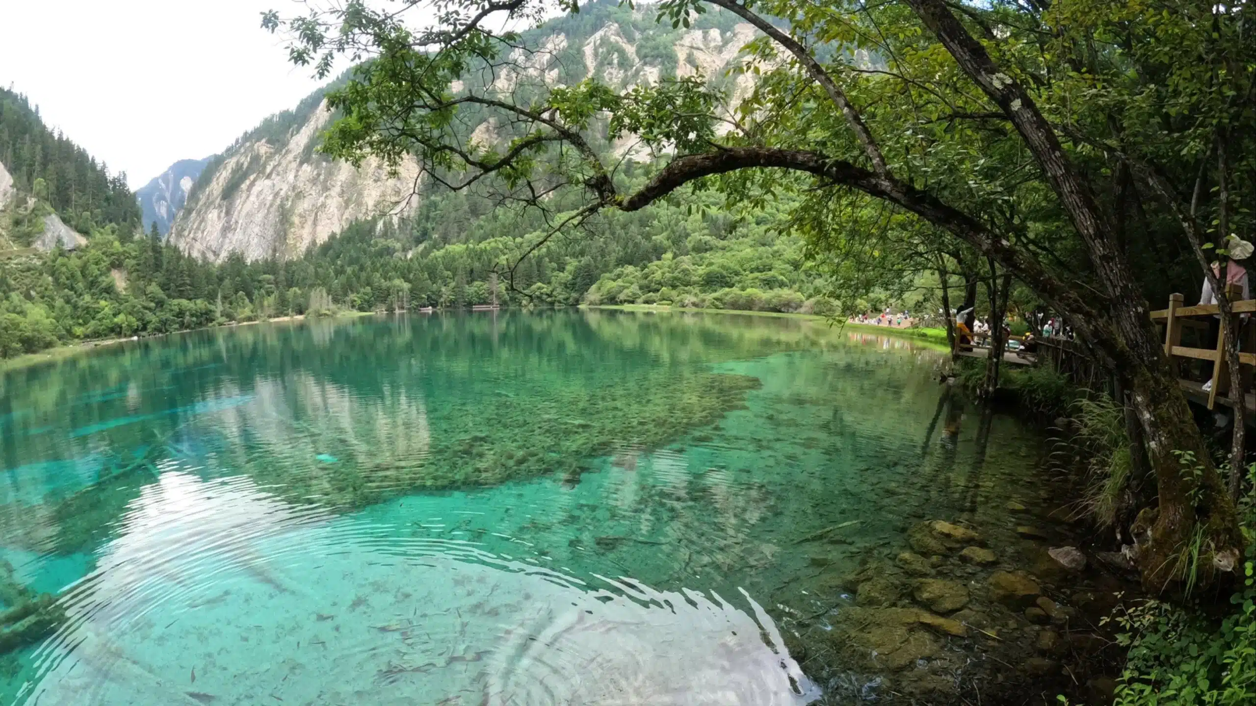 Цзючжайгоу