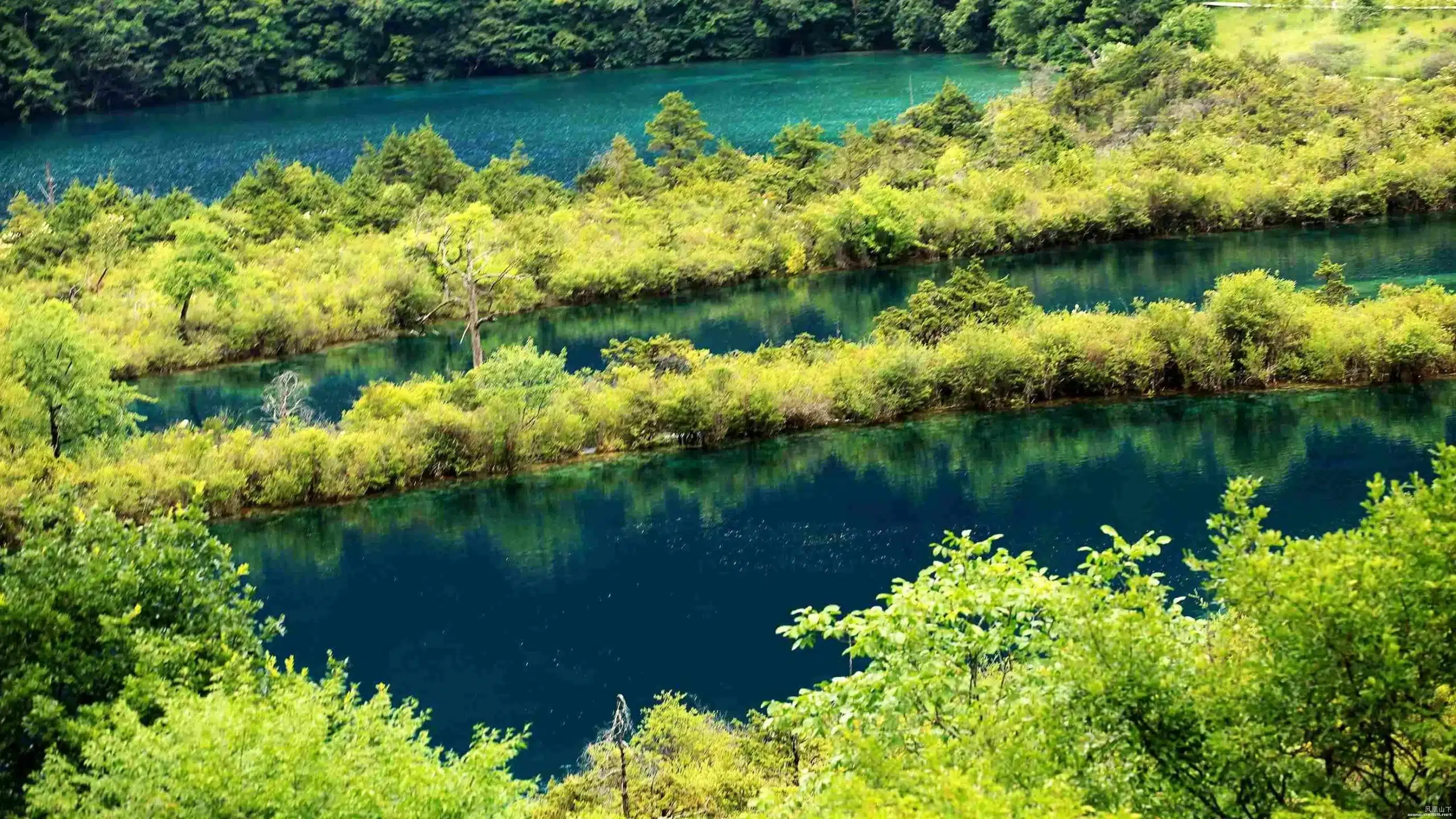 Тигровое озеро