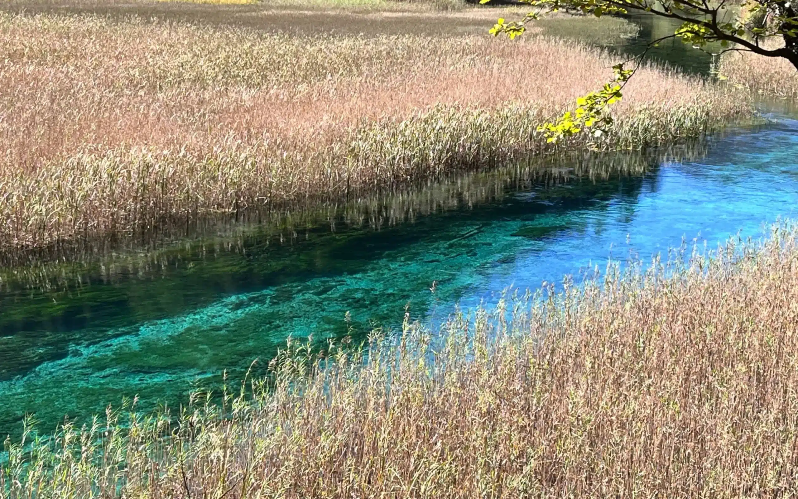 Цзючжайгоу