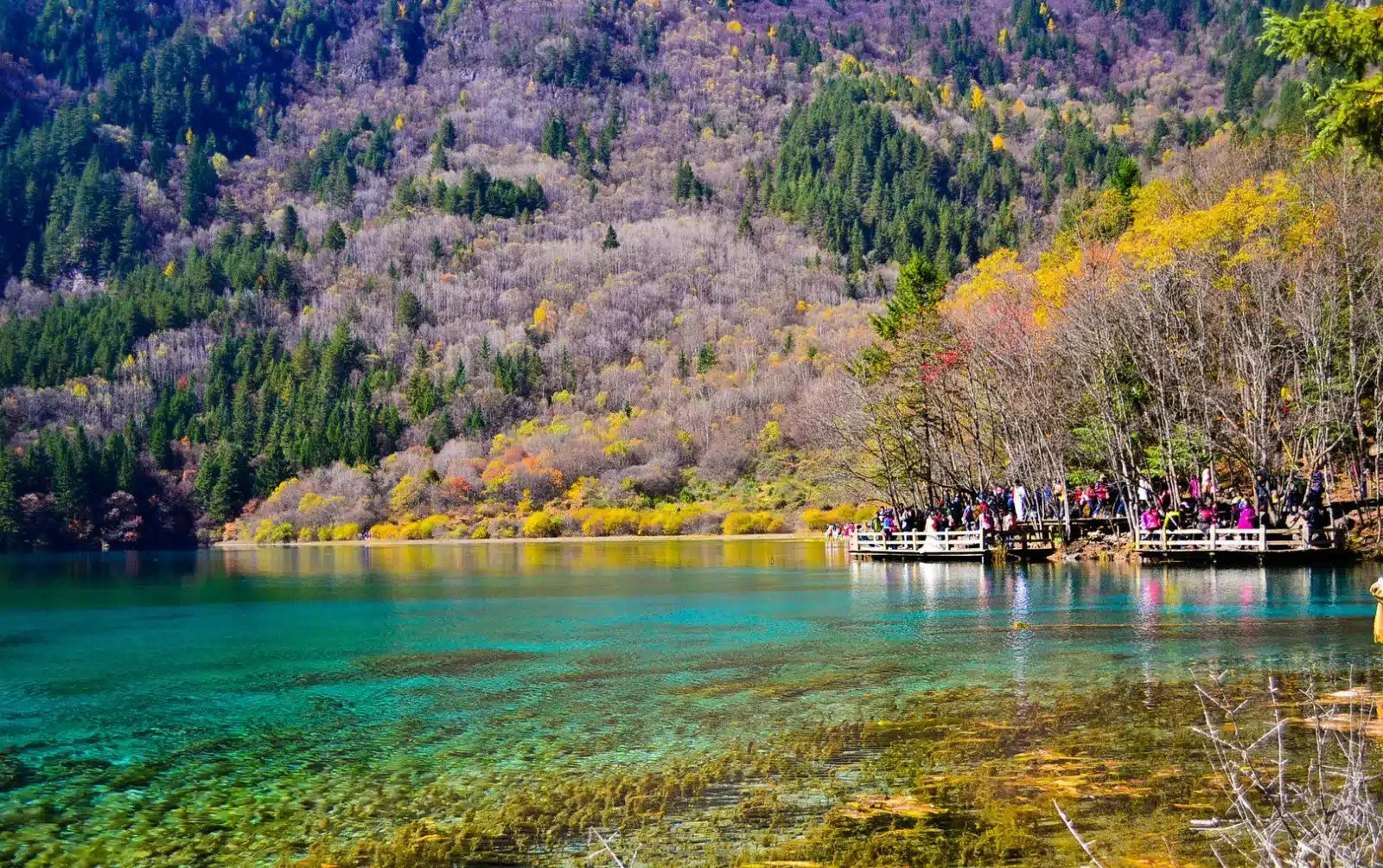 Озеро Лебедей