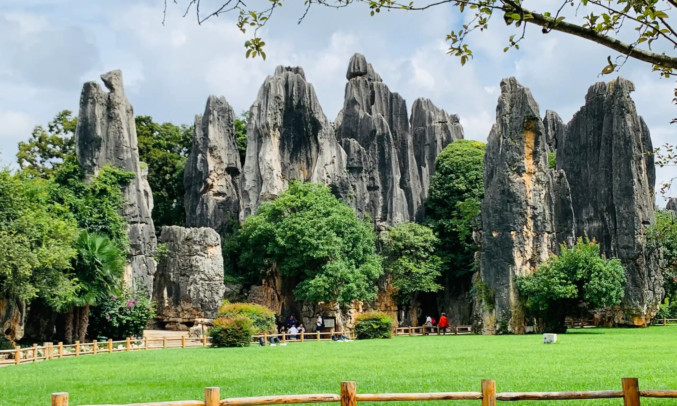 Каменный Лес Куньмин