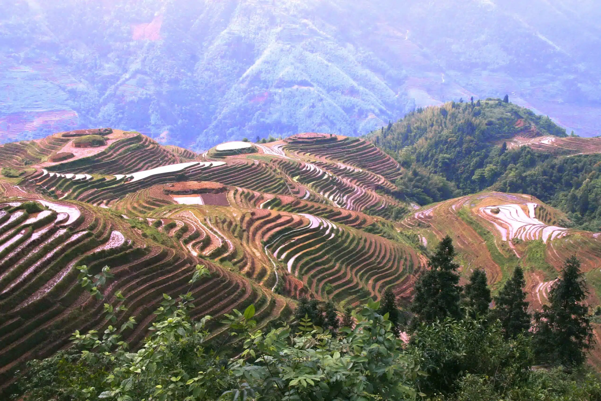 «Семь звезд в сопровождении Луны»