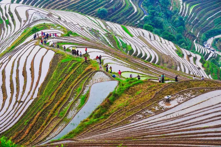 Рисовые террасы Лунцзи