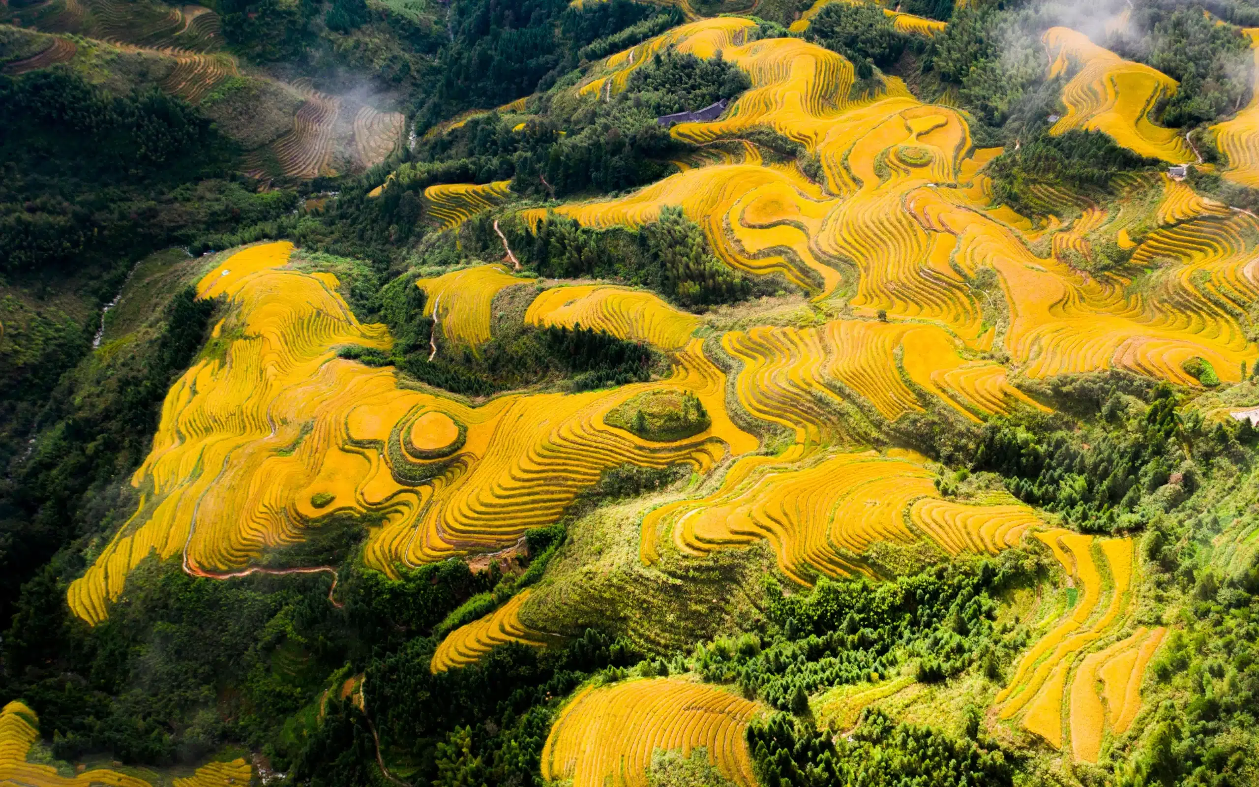 Рисовые террасы Лунцзи