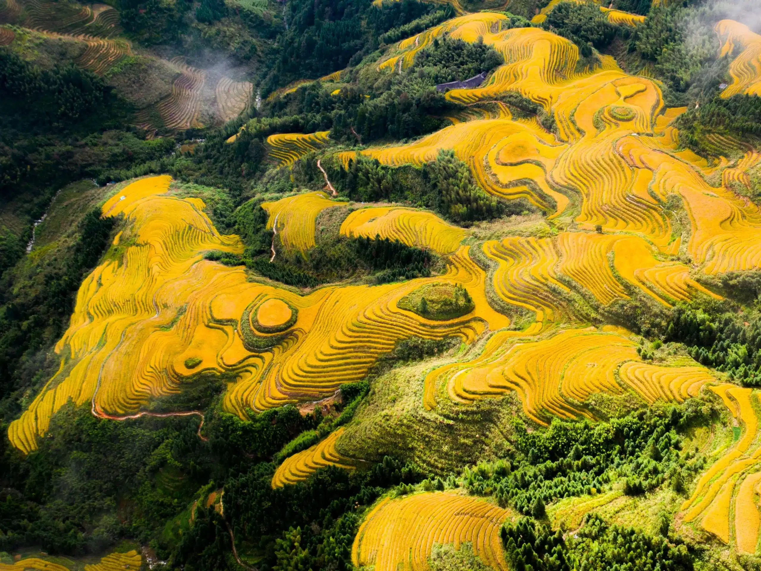 Рисовые террасы Лунцзи — волшебный Хребет Дракона в Китае