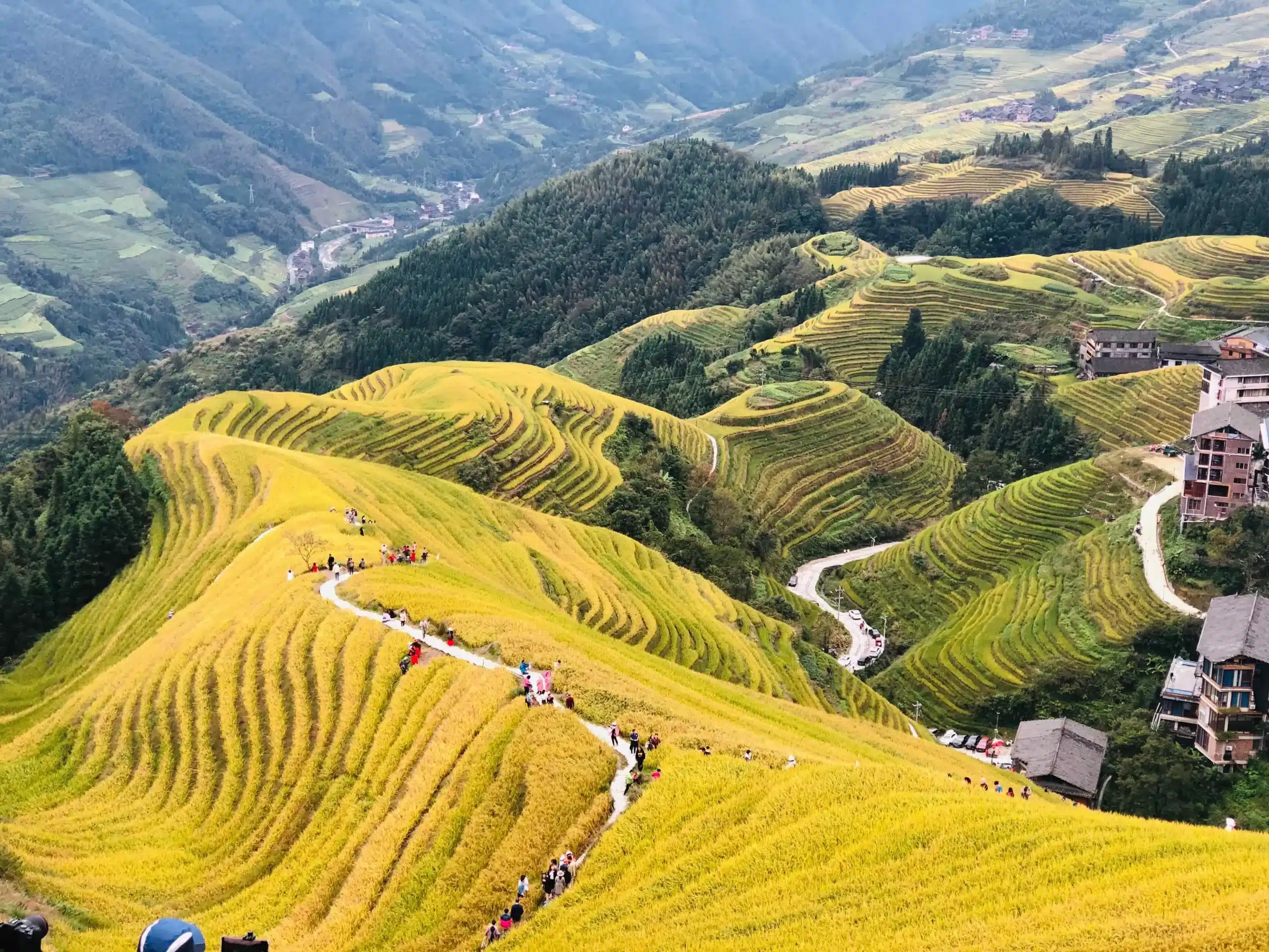 Тур в Рисовые террасы Луншэн на 1 день