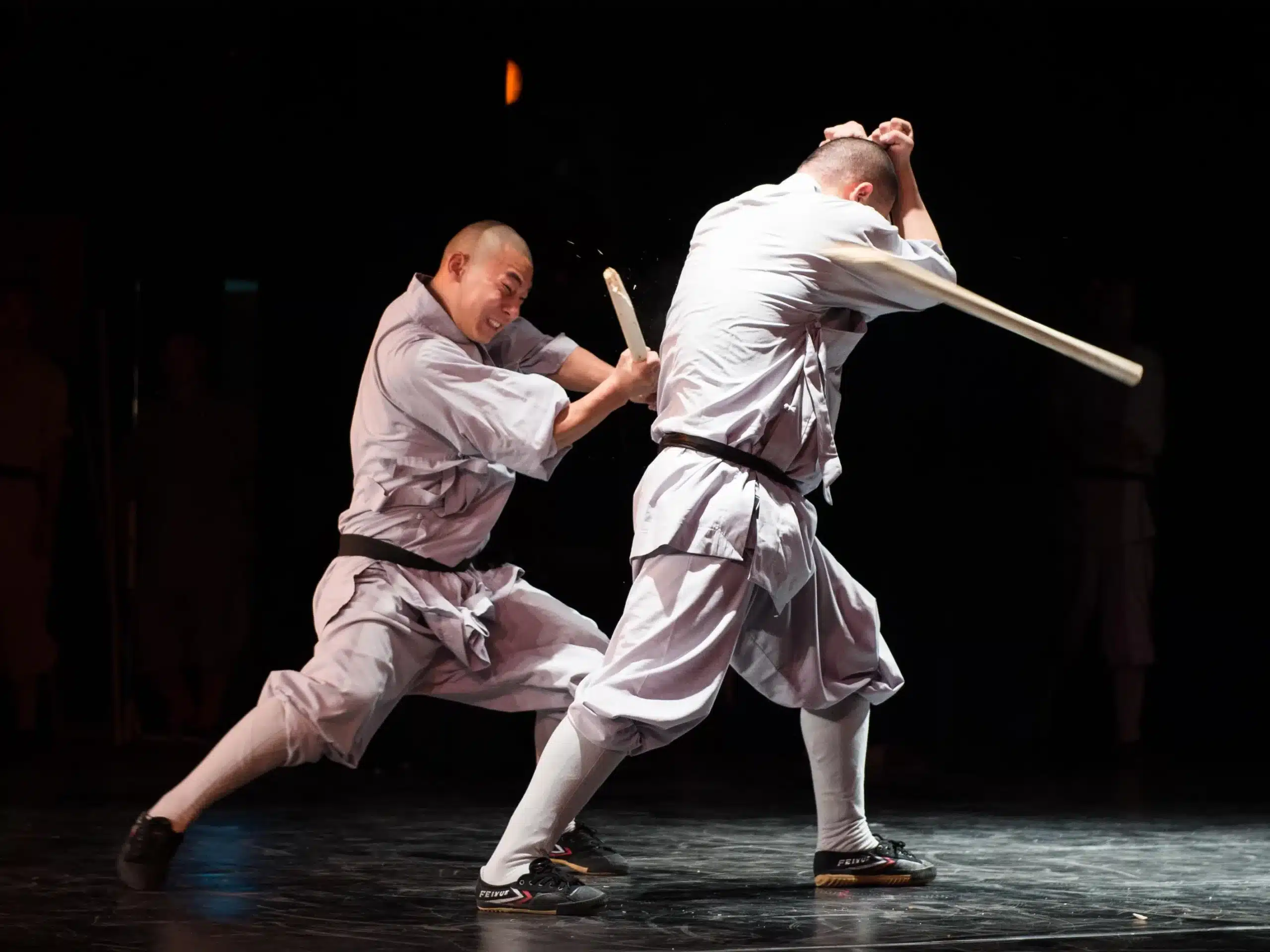 представлением кунг-фу