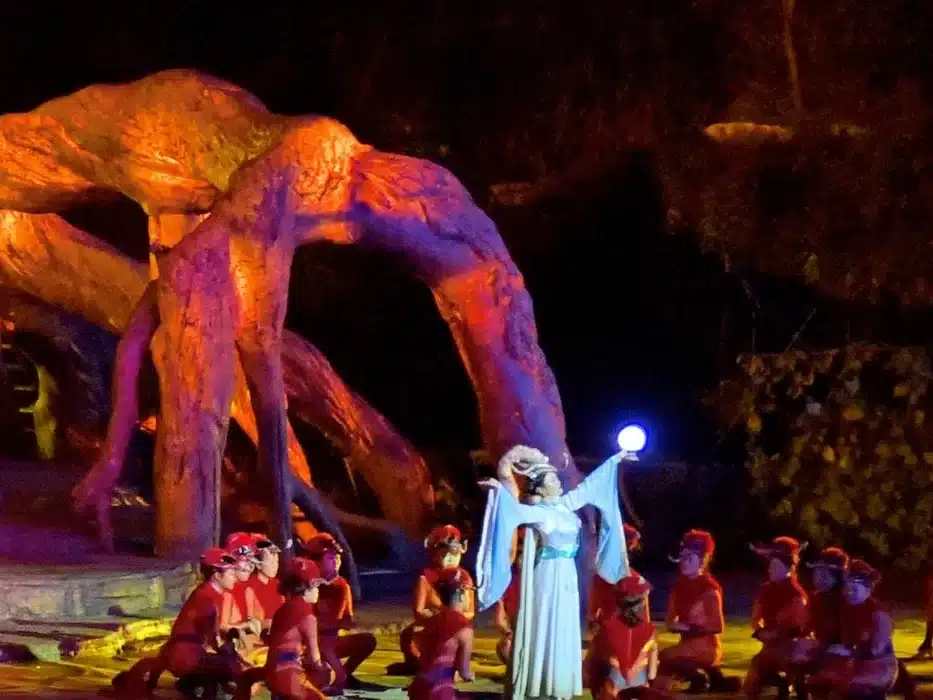 Шоу «лисиц Тяньмэнь»