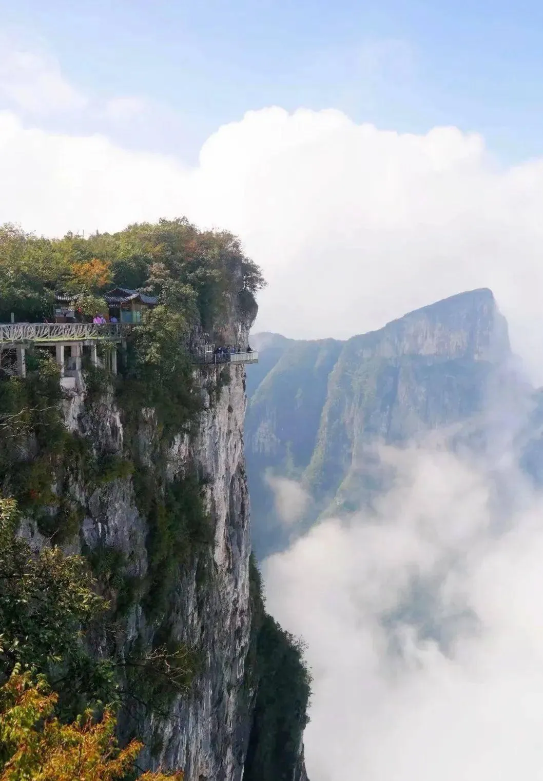 Нефритовое поле Яо Террас