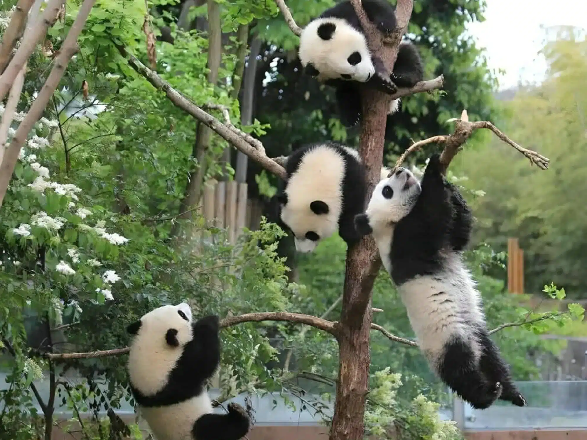 Туры в Китай из Минска