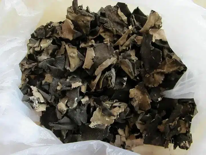 Каменный гриб Чжанцзяцзе