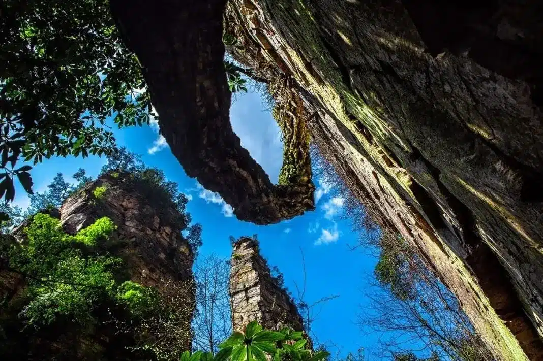 Виноградный король на утесе