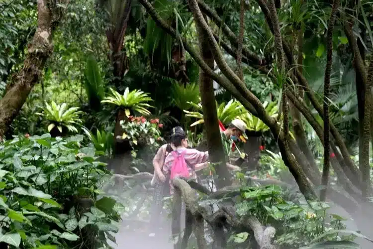 тропический лес Янода- Безвизовый тур в Санью Хайнань