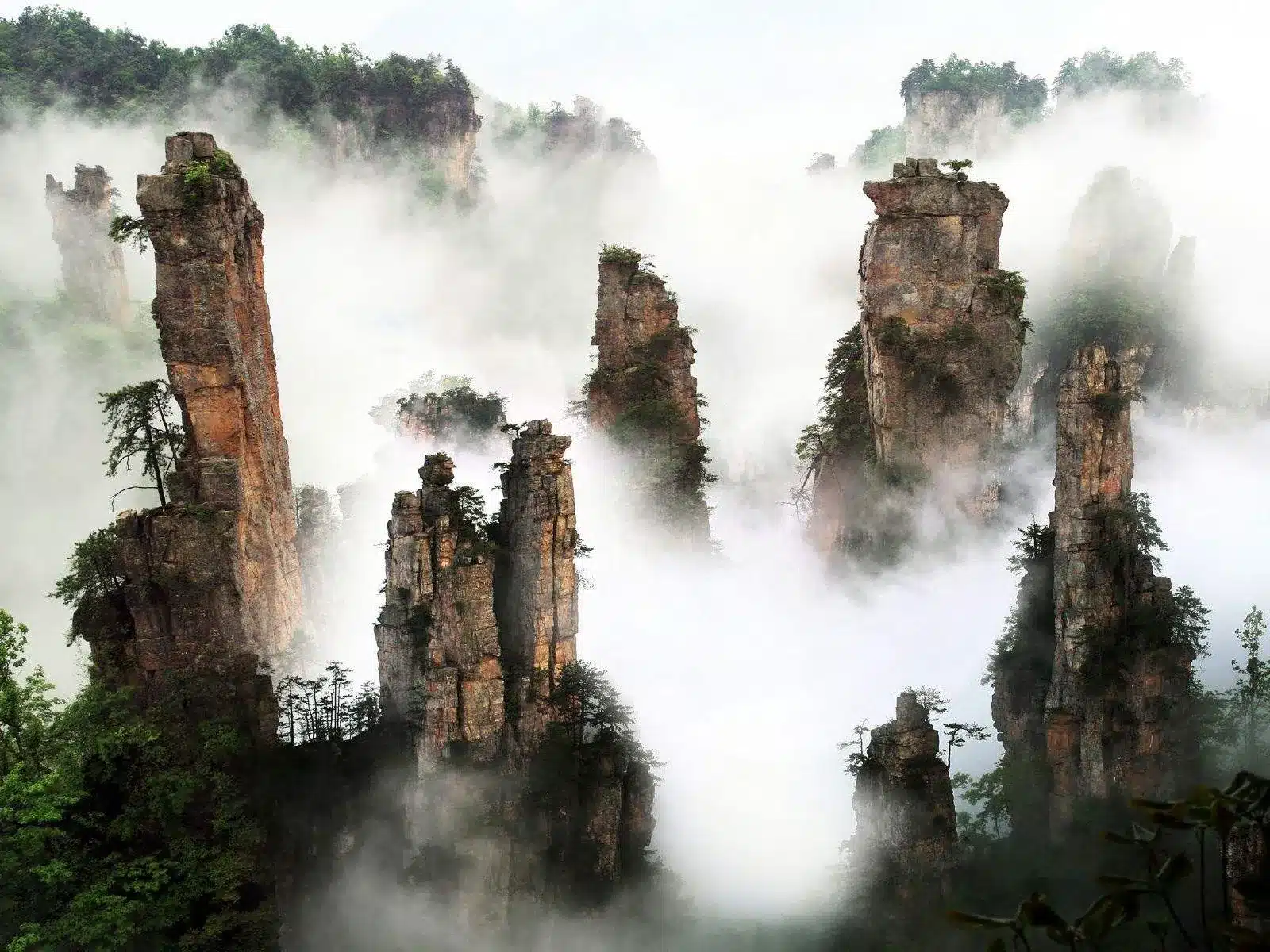 Горы Аватар на 3 дня