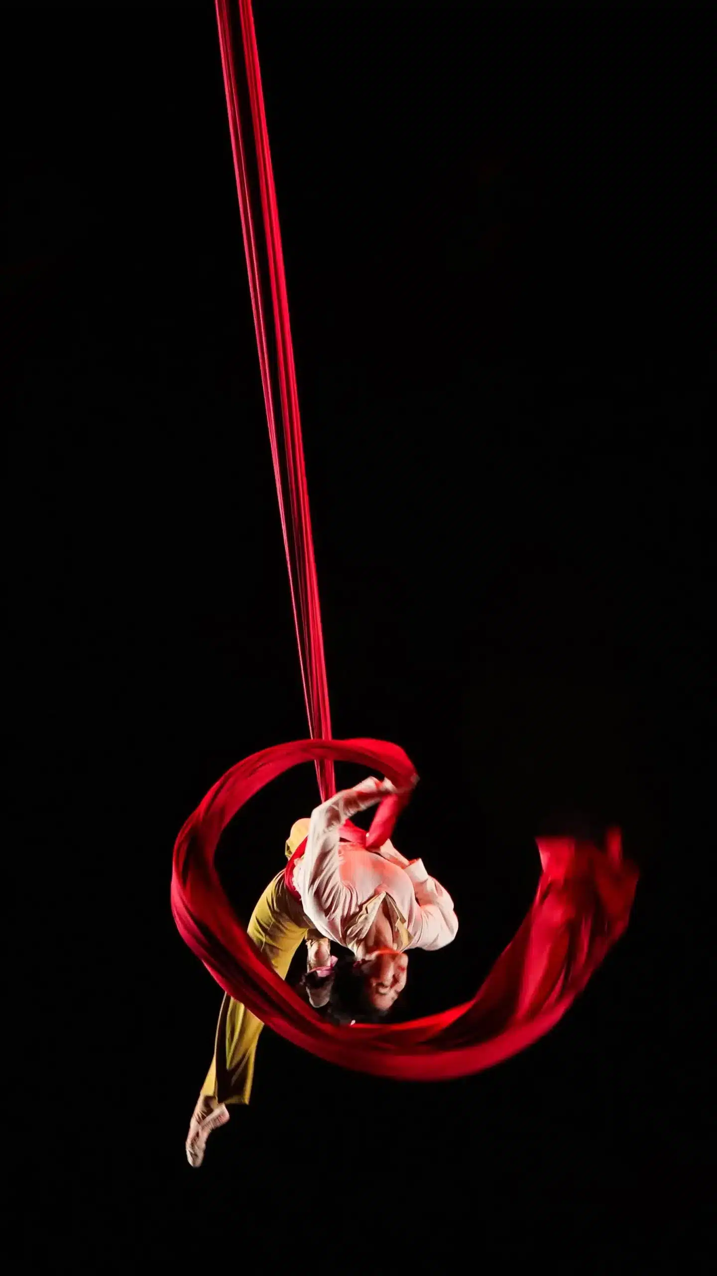 Разнообразие