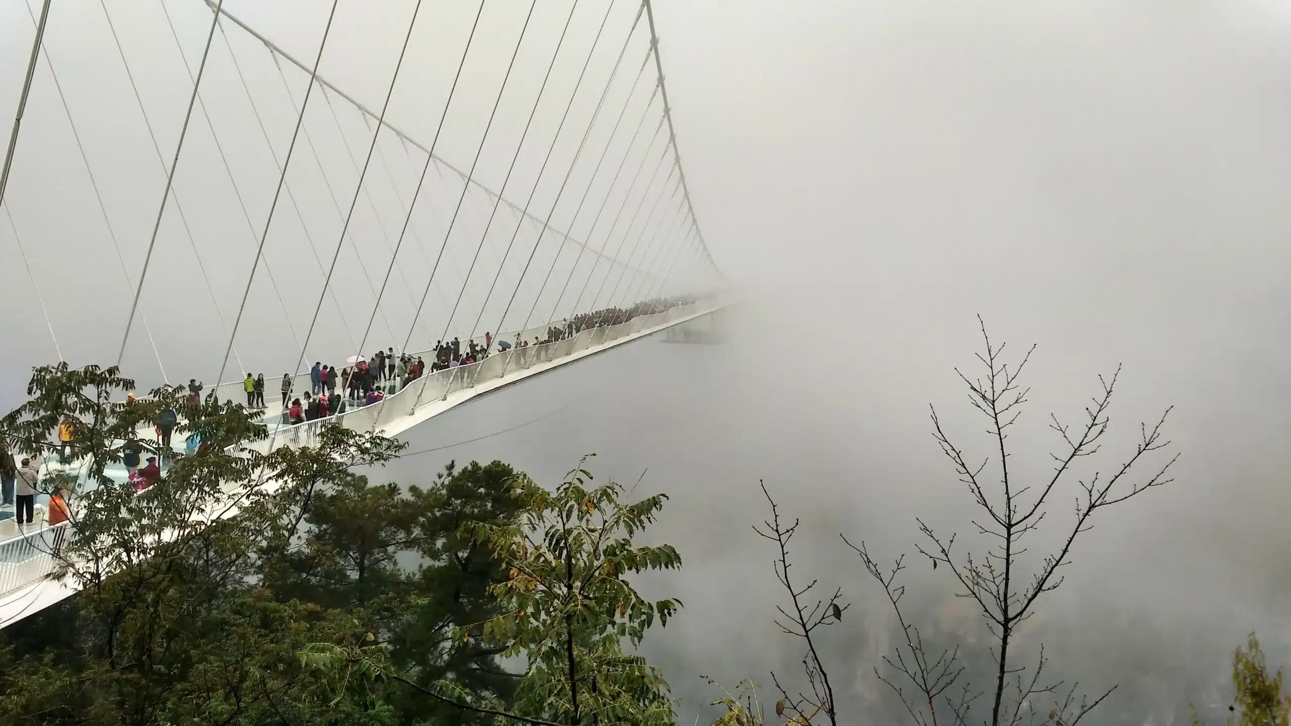Тур Гуанчжоу-Гуйлинь-Фэнхуан-Чжанцзяцзе: Стеклянному мосту