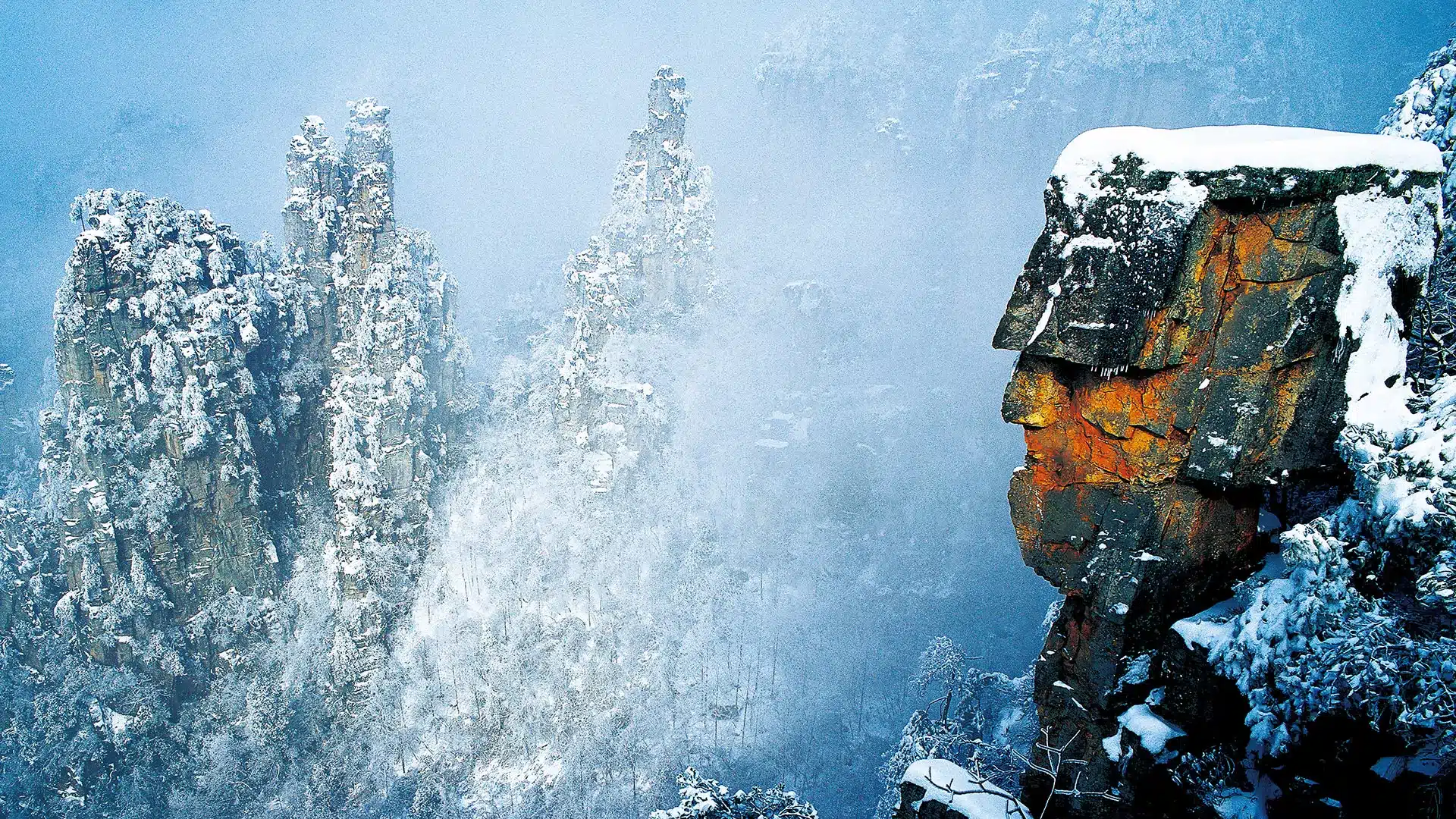 Тренировка самурайской лошади