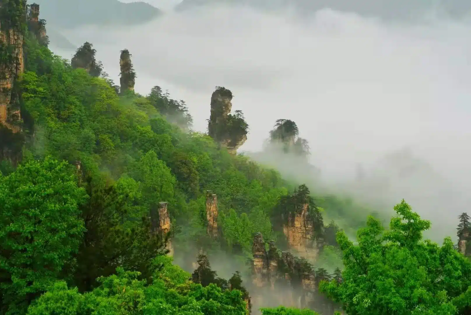 Фея, разбрасывающая цветы