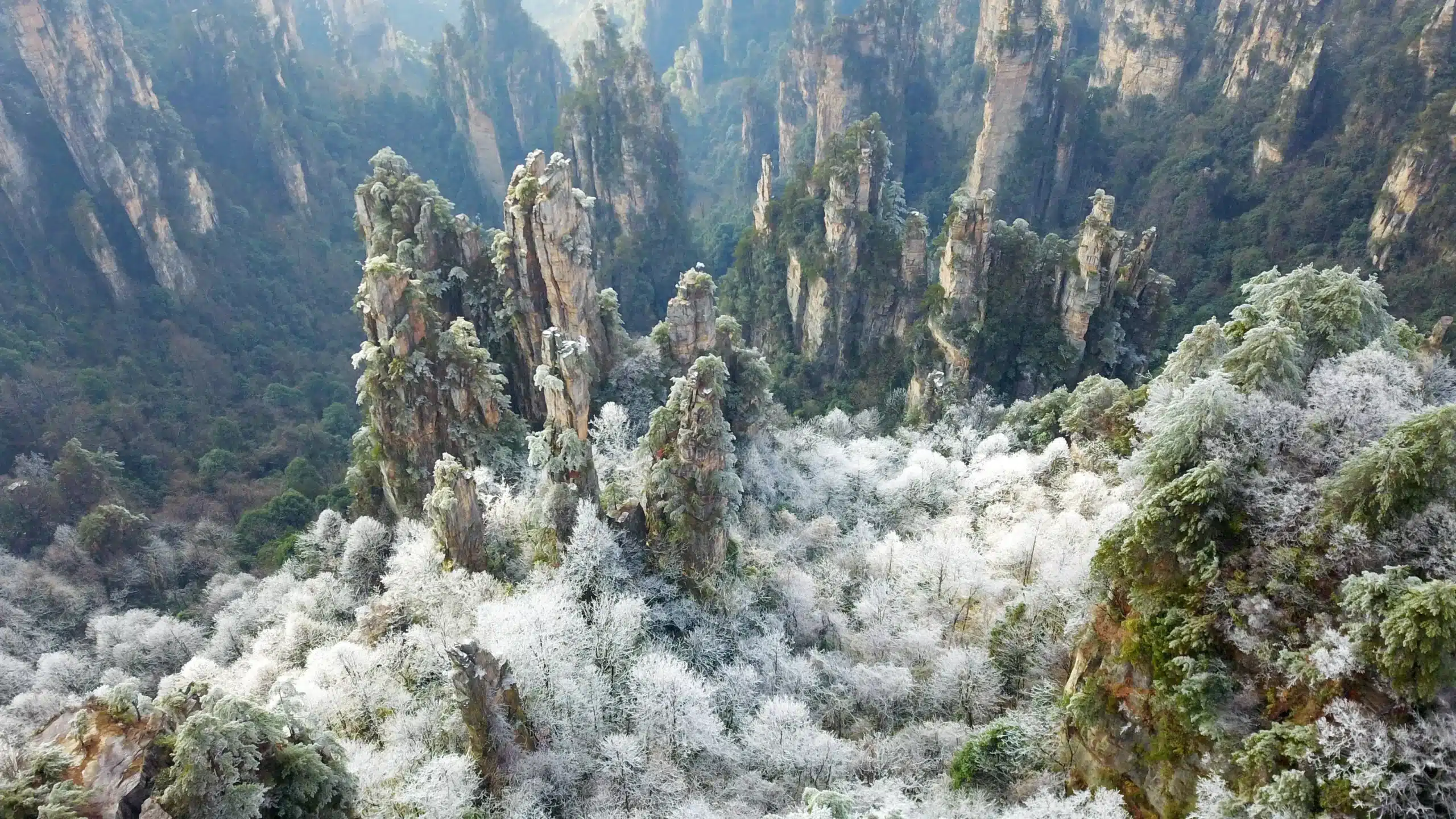 Гора Тяньцзы