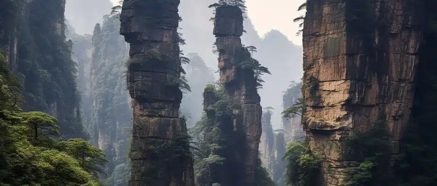 Лесной парк Чжанцзяцзе