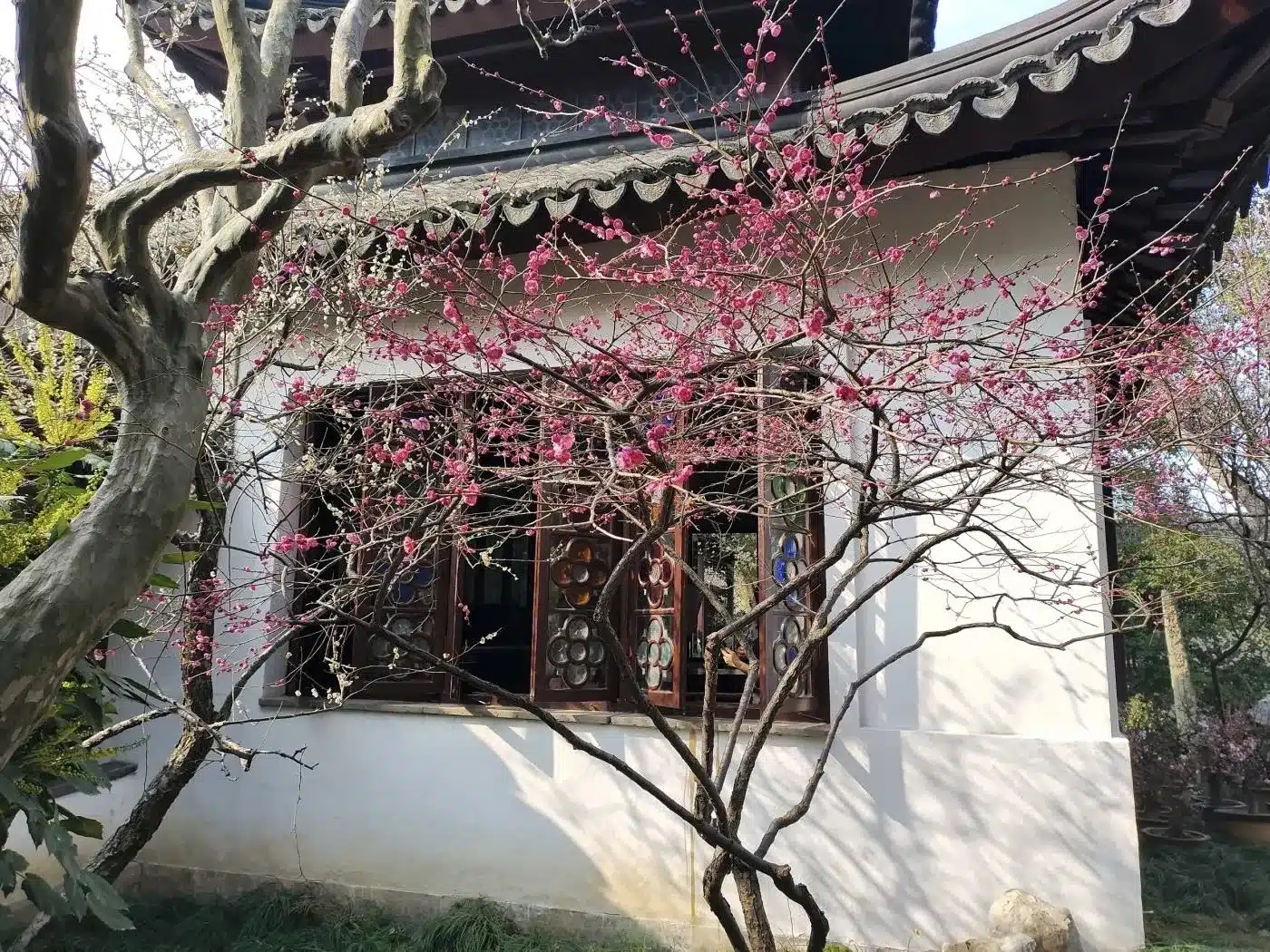 Павильон Вэньмэйгэ в Саду Львиной Рощи