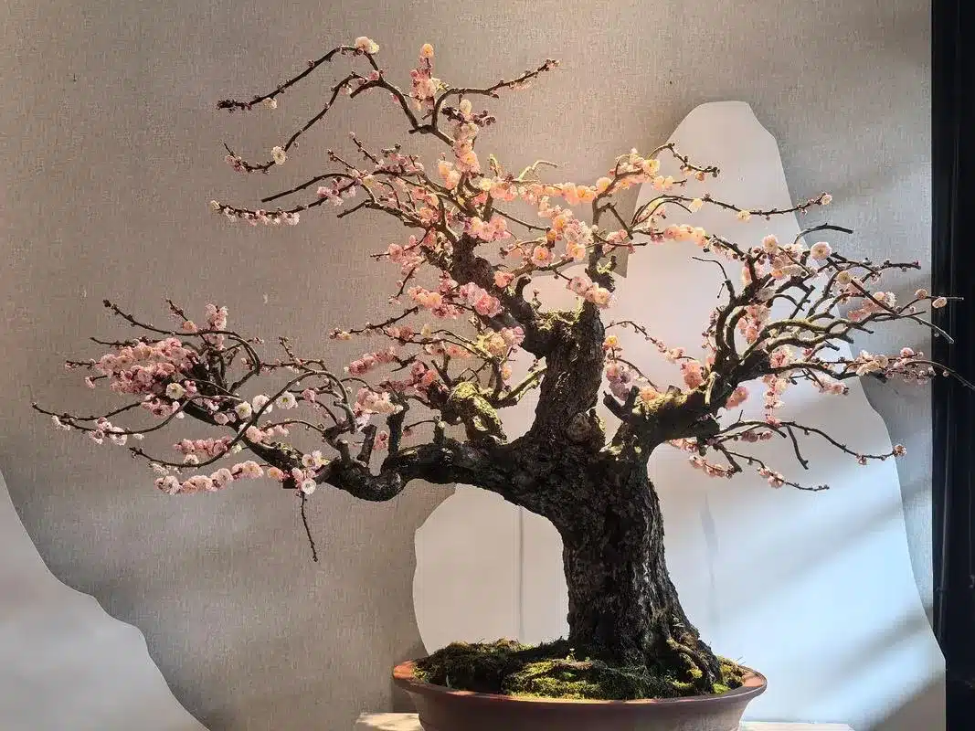 Павильон Вэньмэйгэ