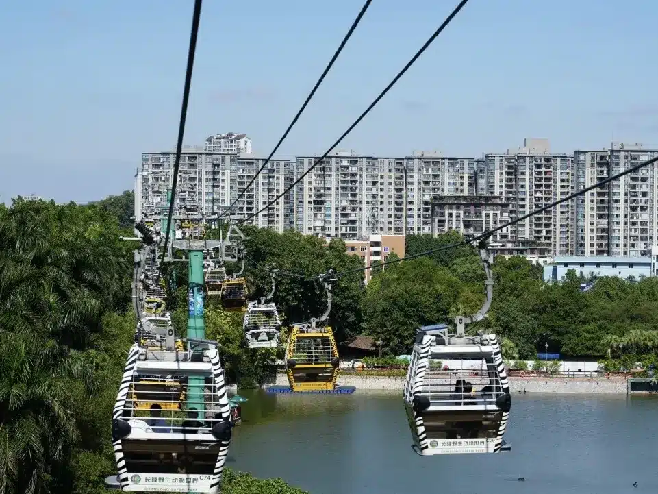 Сафари-парк «Чимелонг» в Гуанчжоу