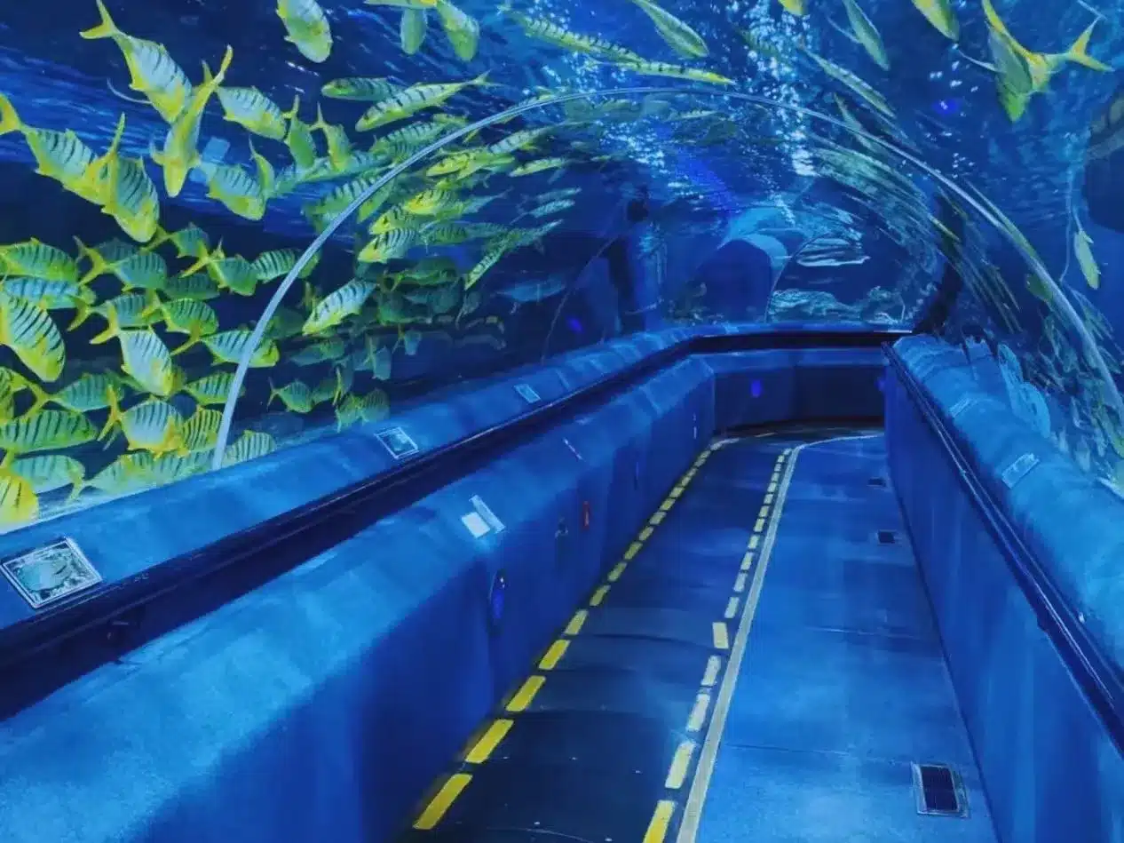 Парк  Океанариум в Пекине