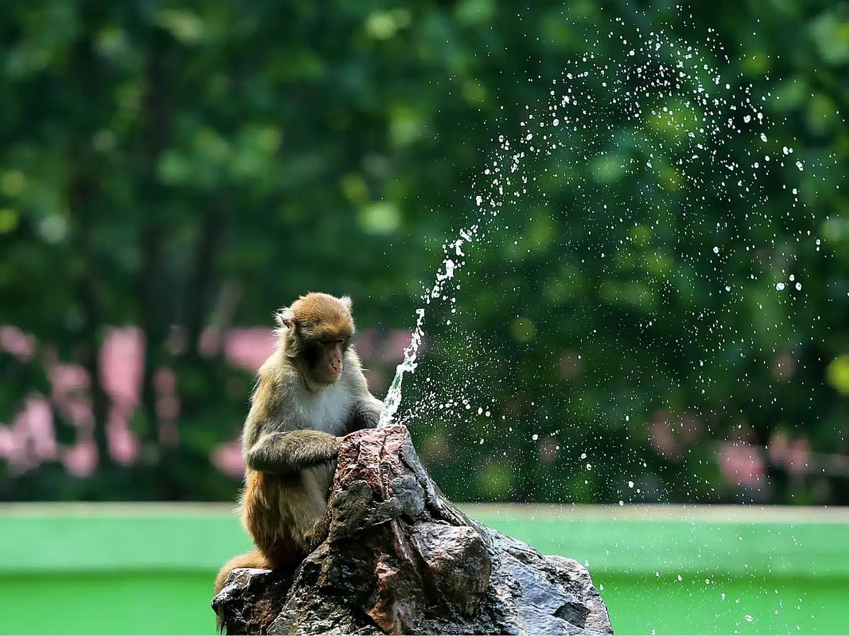 1992 год кого