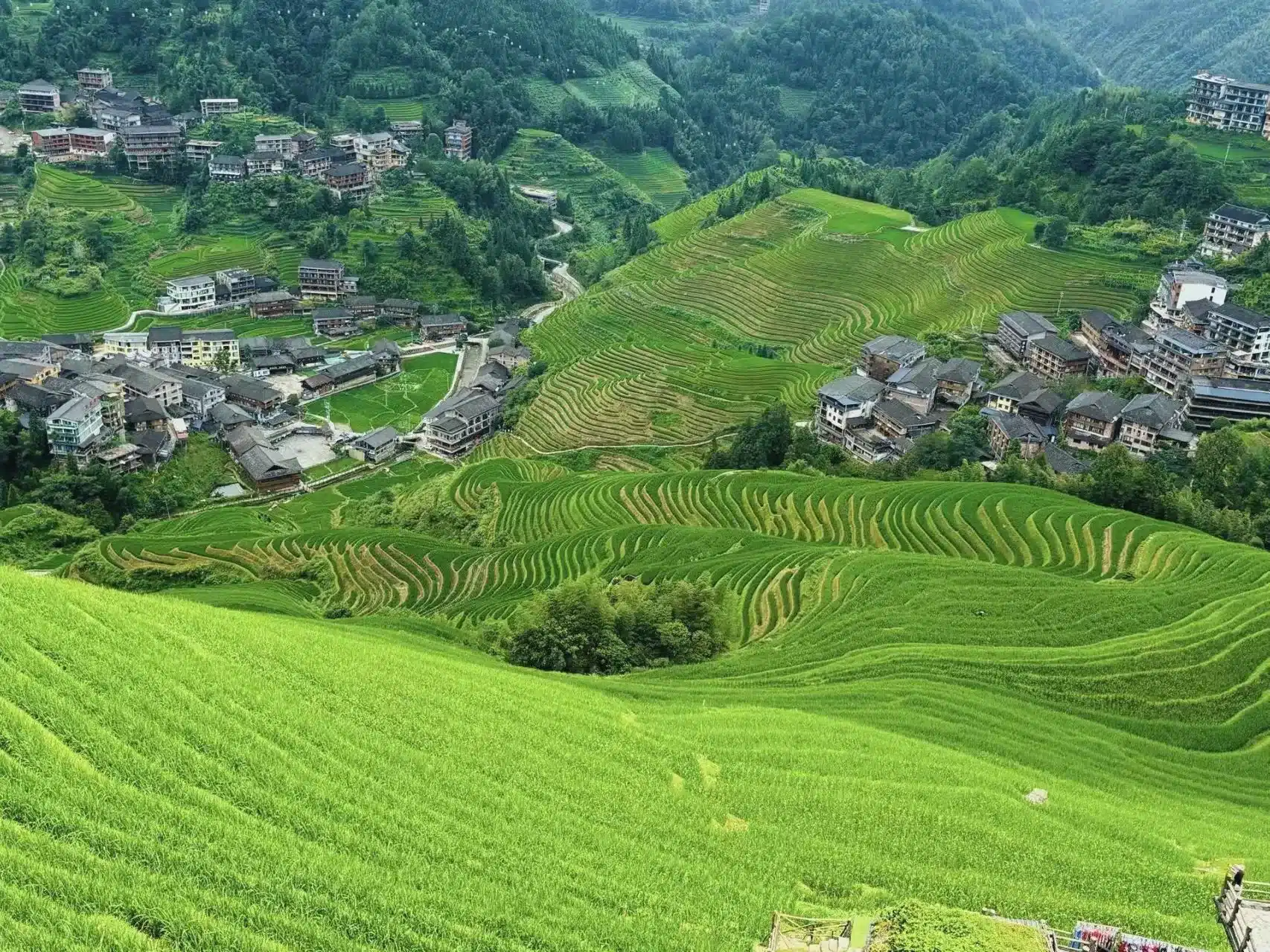 тур в Гуйлинь-Рисовых террас Лунцзы